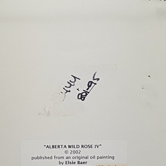 Framed Art Prints Alberta Wild Rose IV and Alberta Wild Rose VI by Elsie Baer - Picture 5 of 16